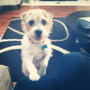 It’s OK to Miss&nbsp;Home