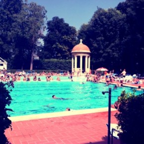 Small Cups and&nbsp;Speedos